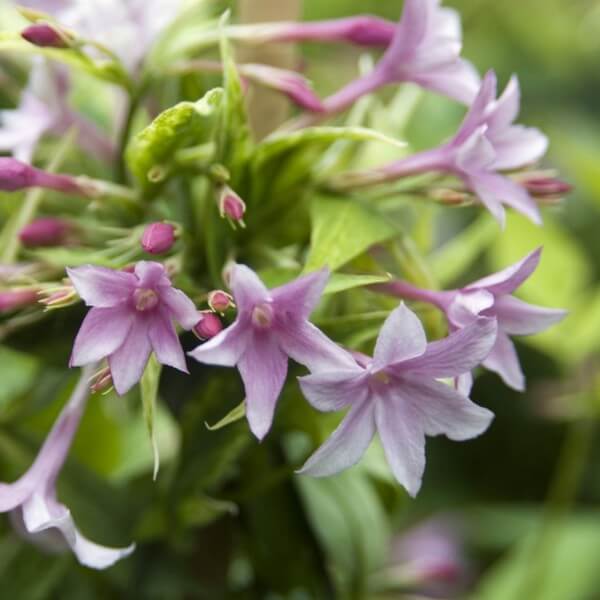 39596b38841df0691ec612470365bd69