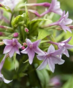 39596b38841df0691ec612470365bd69