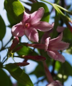 40442b3ea50eeb6ca7acebc6c1875042