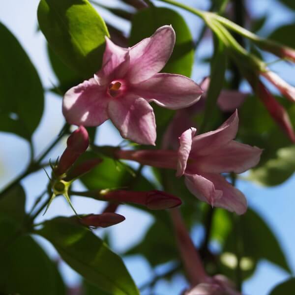 40442b3ea50eeb6ca7acebc6c1875042