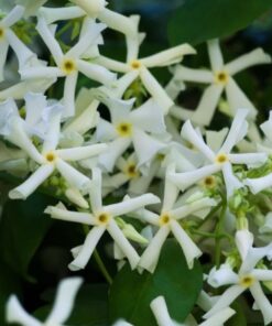 b80cd8c2093101412281c9f7aea36889