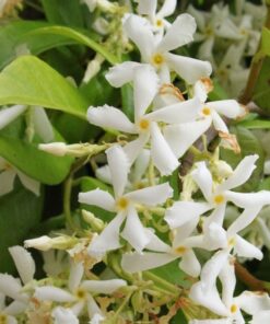 99075f69ef3bfa3087c1a903a0343b27