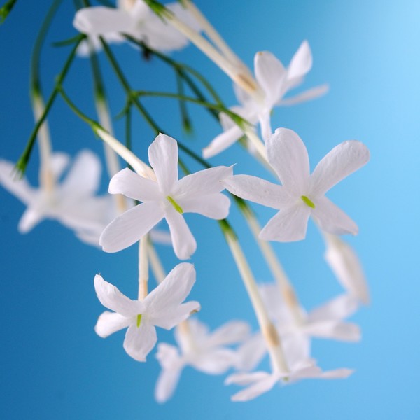 c15e5a14a0b0c7612ff8b46ffba23f70