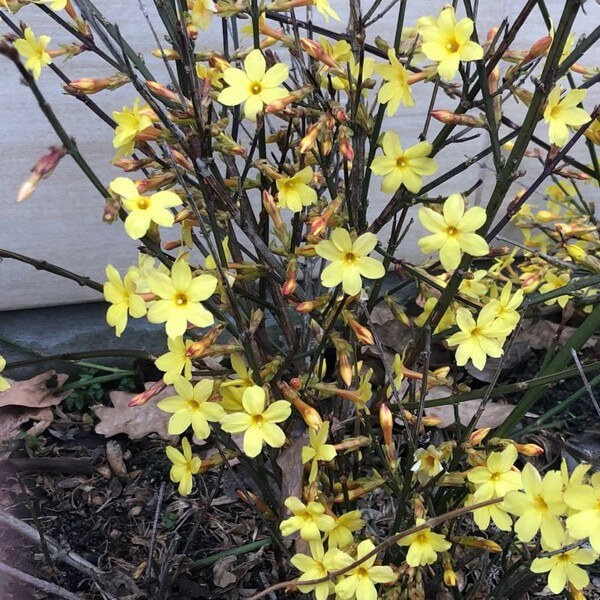 f363aa0410cf2c05bbe56d725f686012