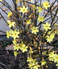 f363aa0410cf2c05bbe56d725f686012