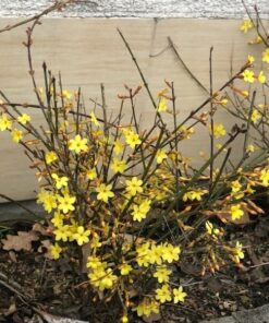 ab2cfa00d623969b8eb1b9e5ce895778