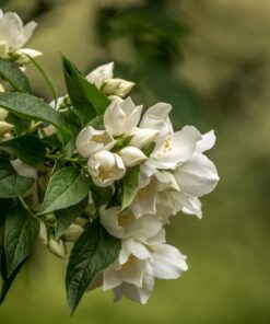 471f6d7f798e840f4aa18320bcf8f119