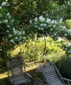 31ee10ad0c24218bb0e27af293ef8878