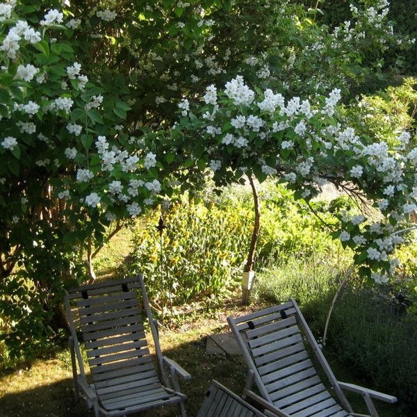 31ee10ad0c24218bb0e27af293ef8878