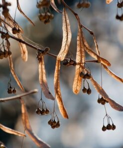 ca46e8bfff5f69d24614dc9694c7c23e