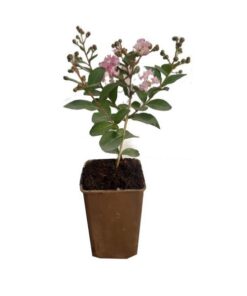 80920aa58ea0f33b460db79cad108865