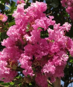 b4bcdca708edf02a7f197ec5191c1d8f