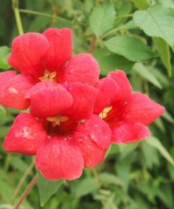 e8b235dd022469d6d3e9073bd8bde01c