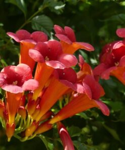 0193c0de7cfb67928c654da500a7257d