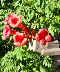 d88b7b89d27f33e675f0cff7074ae142