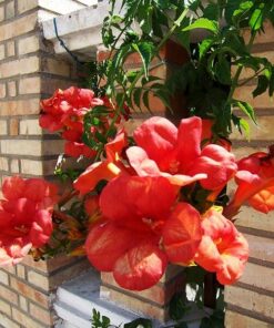 0670fdece4c63688d44f7fd12891d18c