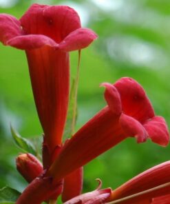 992be2dd8bf7917884d1328624f02998