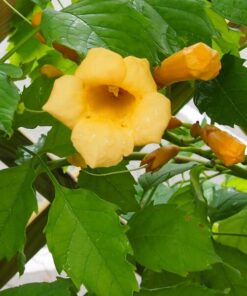 80466a27e69493f6c0d6a2362e168c41