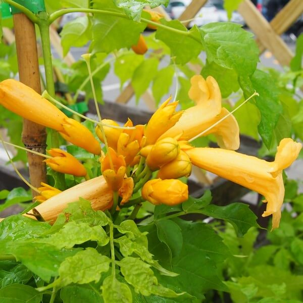 3daccfe75586c52e79e437547407cea3