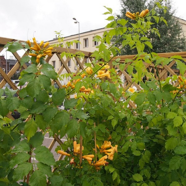 e476224f942bf21a95f1ea8f6158ab3c