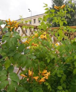 e476224f942bf21a95f1ea8f6158ab3c