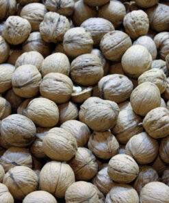 c8c0e48e6002165a57d52a419f4b098e