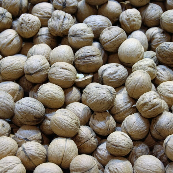 c8c0e48e6002165a57d52a419f4b098e