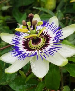 e99a498781d2dc7e7ec9baf3985ad5b4