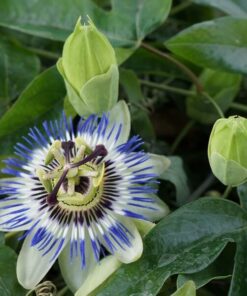 665c8bf8f621e80d113c76dcd5bf4eef