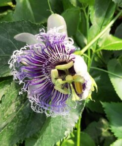 f4720bda9dbaf2a19eea259f5284608a