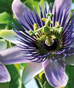 7ee7cf2e8e015ce50a735d0442950348