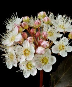 6a3fb7e5844bf6ac0d6ad211c191ccee