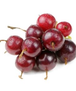 0c4e4213c46162aace9c8e3582205671