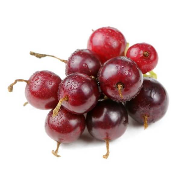 0c4e4213c46162aace9c8e3582205671