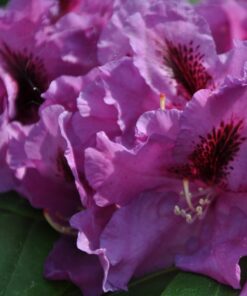 591a5684721799c2188d89aee7189f93