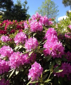 1450b69020ac19e93bf5eadbac1d268f