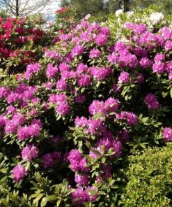 938a77b6b5c1676a19654f966f60748d