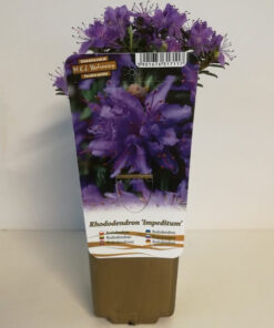 dbdcd74767e322460940b903d38378c5