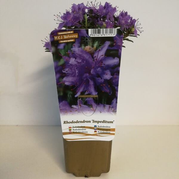 dbdcd74767e322460940b903d38378c5