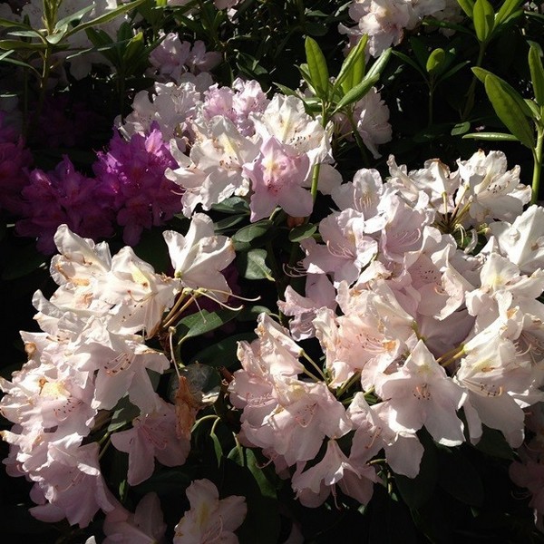 dee4ebf086659623c4d8750ac8ae947d