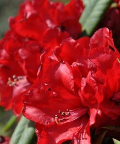 7b28149b7e02371b6ac60a2fd3a1e982