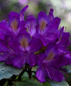 6a8ad941828b045cf092abb34bedac39