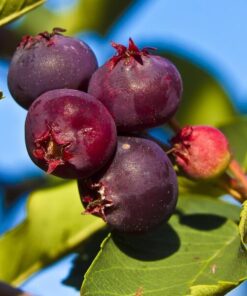 f3f2a6ee37b9f3d0be3e961dbf380c25