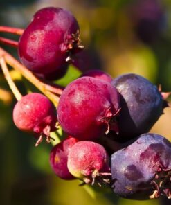 9f967d4648fd27a8afba014e1b7e7b2e