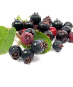 1782b2dbf4a59bcda97a6766f539b4d2