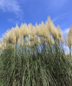 9d3aa2b49ad13c179df55be50978a75f