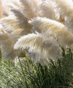 b780f01af20873a49b573d607eb5416f