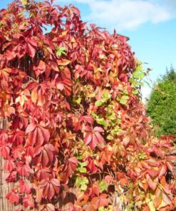 04c0fb72834749ce47c3311e351210f2