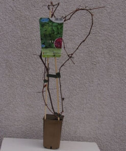 5b73ca103b16011af5fd7688539f9a60