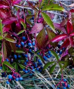 89e453c5fc54f6c83724196384fd27ad